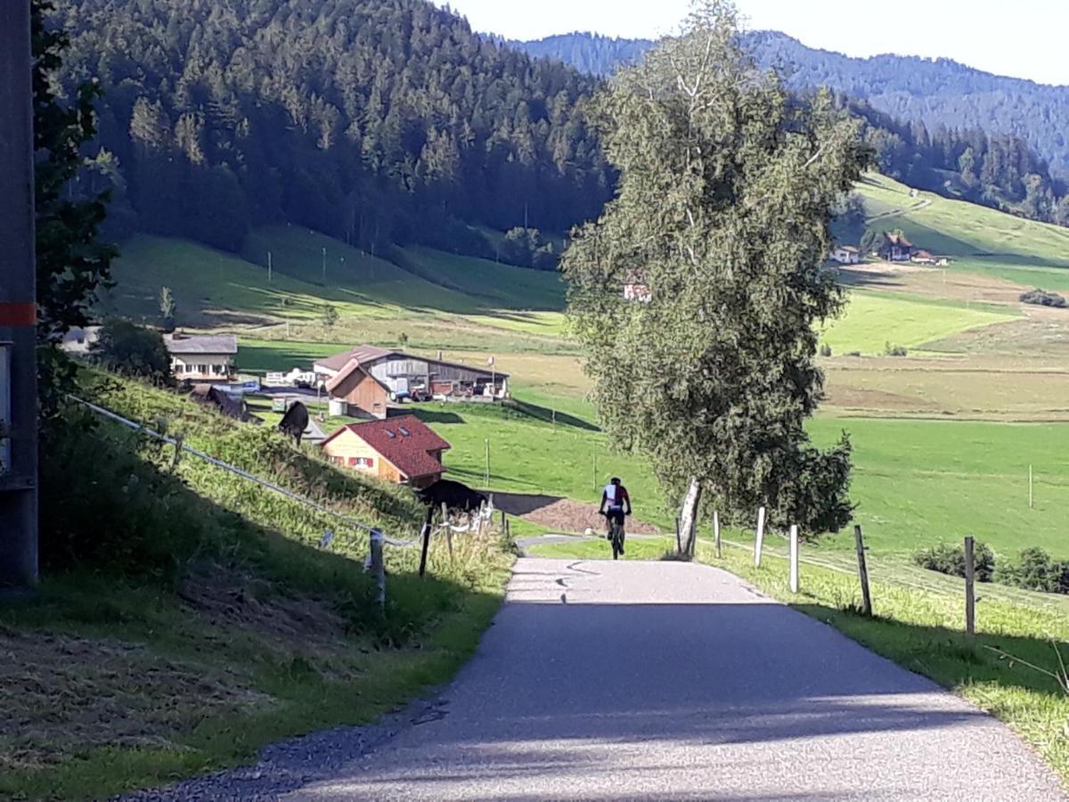 Gaestezimmer Im Dorfzentrum Rothenthurm Exterior foto